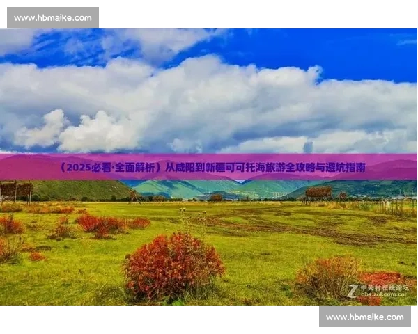 比赛鸽子市场行情解析与价格走势全面指南 比赛鸽子市场行情解析与价格走势全面指南